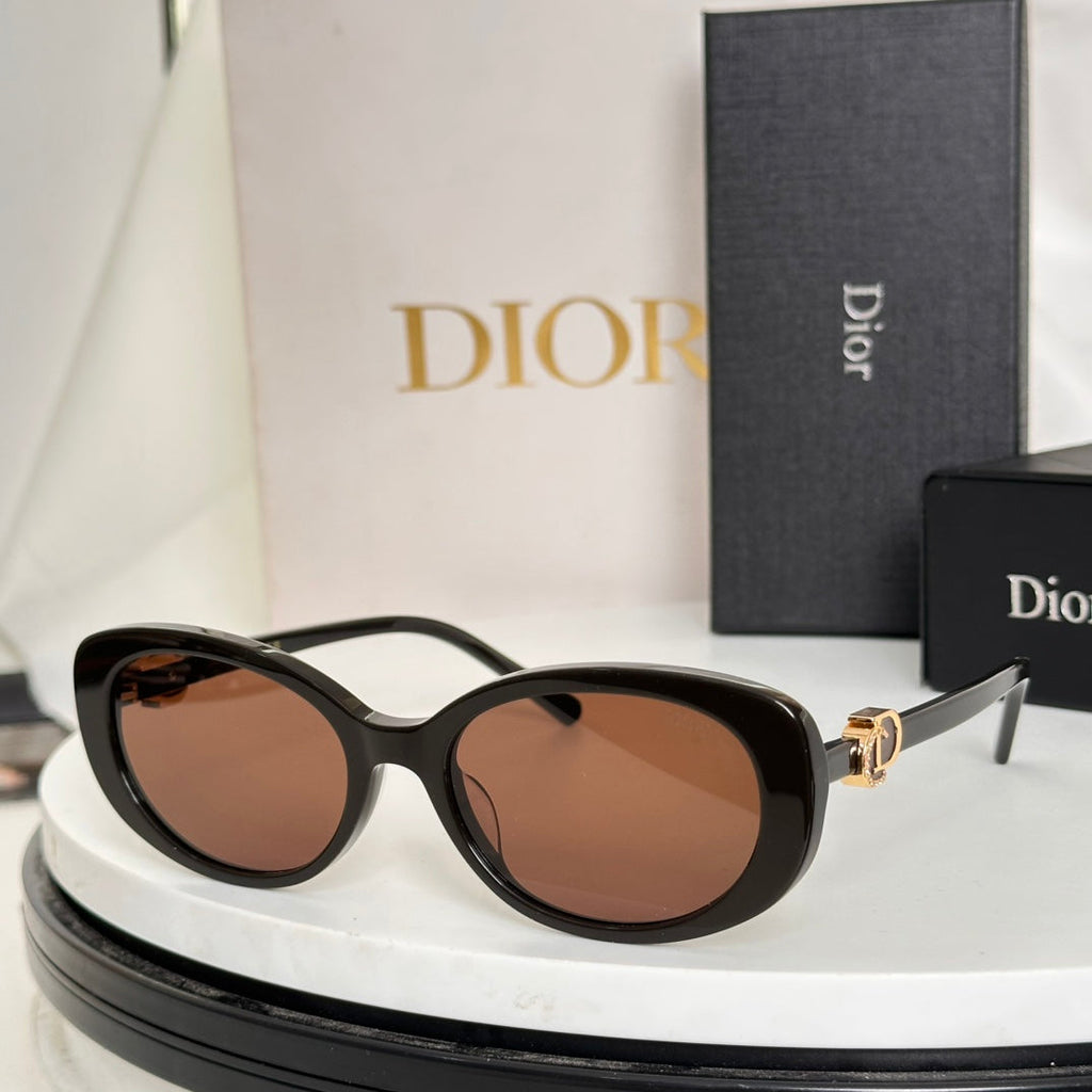 DIOR MONTAIGNE SUNGLASS CD8977 IN ACETATE