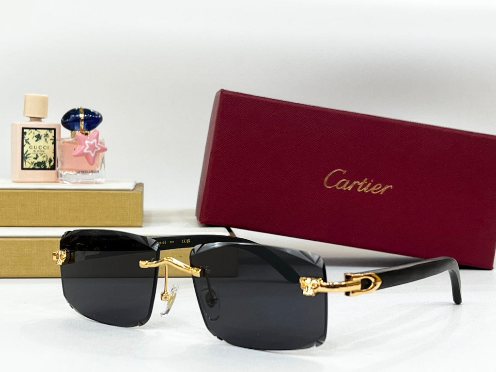 C DE RIMLESS RECTANGULAR FRAME SUNGLASSES CT0612S IN METAL