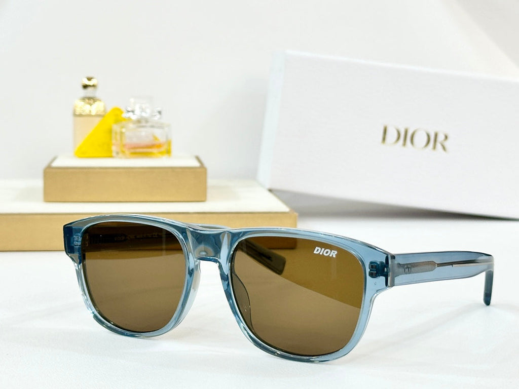 DIOR MONTAIGNE SUNGLASS FLAG2 IN ACETATE