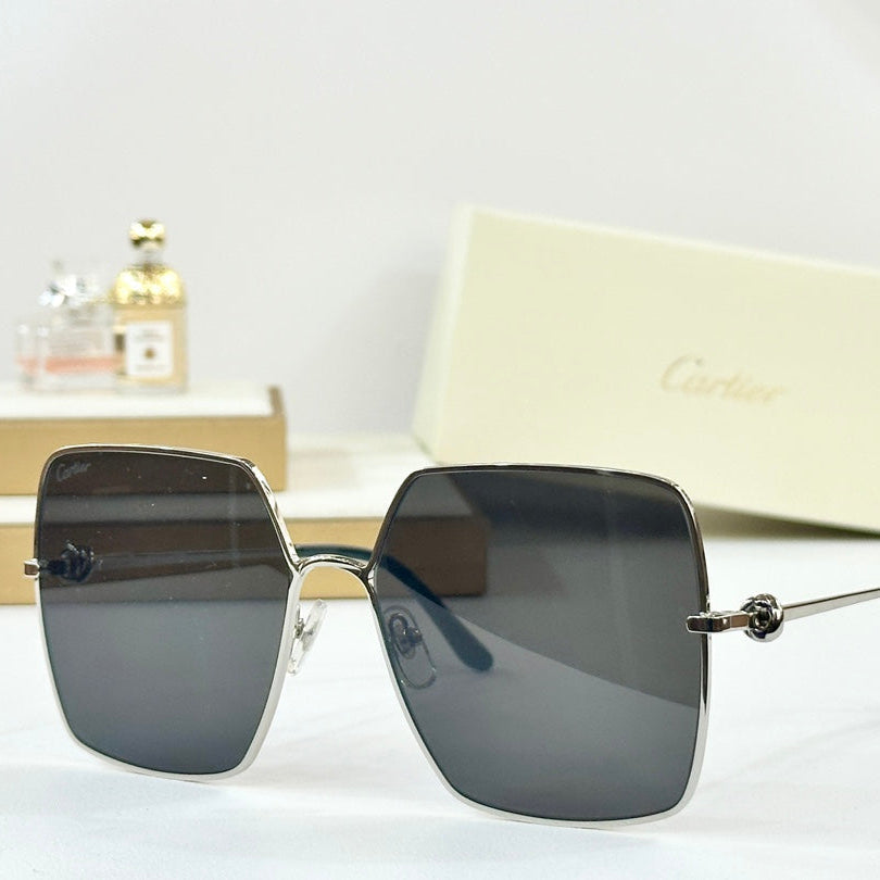 C DE OVERSIZED SQUARE FRAME SUNGLASSES CT0361 IN METAL
